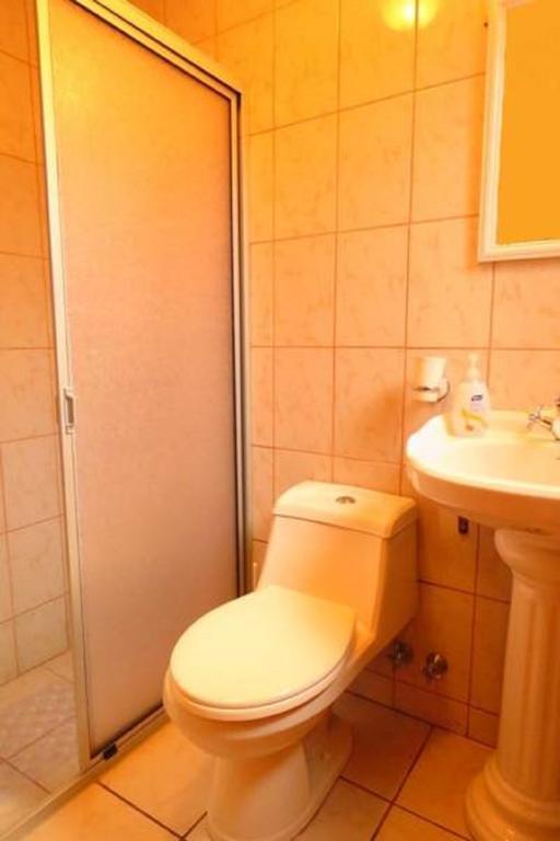 Apart-Hotel Colonia-Koenigsberg Estacionamiento Deptos Completos Ubicado En El Centro De Valdivia Aire Acondicionado Екстериор снимка